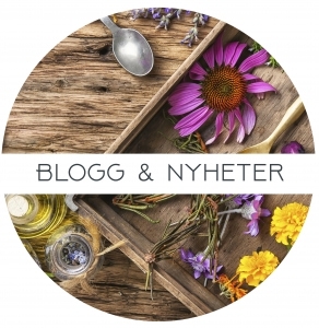 Blogg