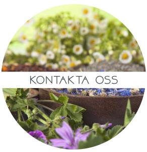 Kontakta Oss